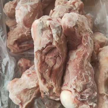 前腿骨
