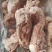 前腿骨