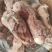 前腿骨