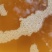 百年老茶油