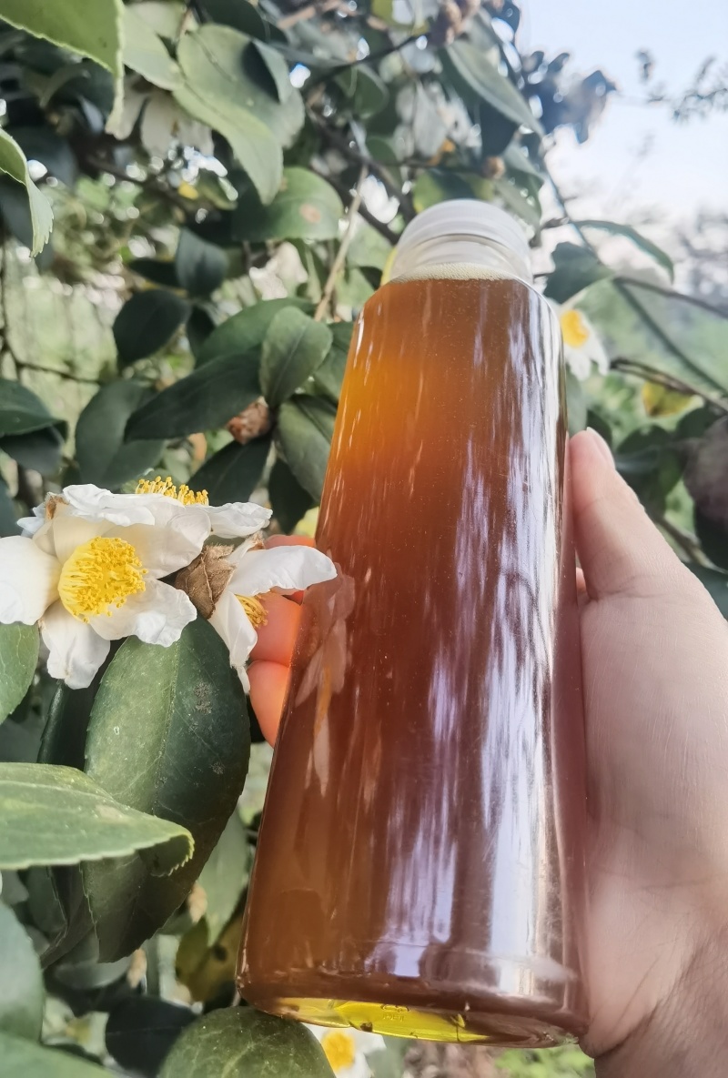 百年老茶油