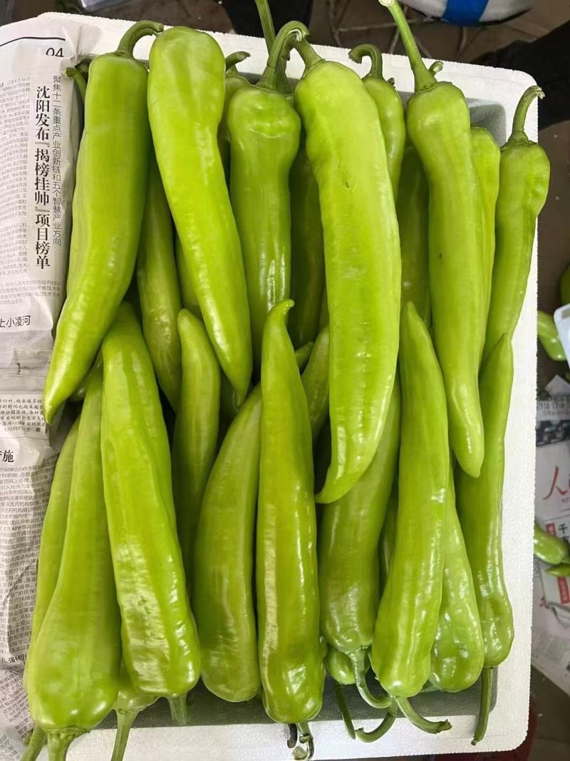 精品尖椒