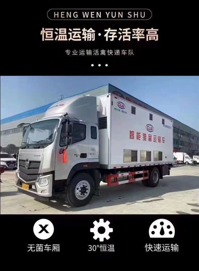三黄鸡苗货到满意付款包防疫运输买1000送100