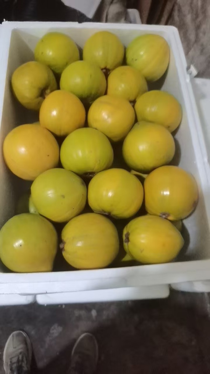 云南蛋黄果鸡蛋果热带水果成熟果肉绵密成熟甜味香浓