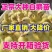 三花鹅苗货到满意付款包防疫运输买1000送100