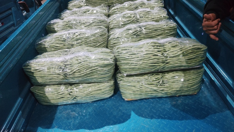 架豆王