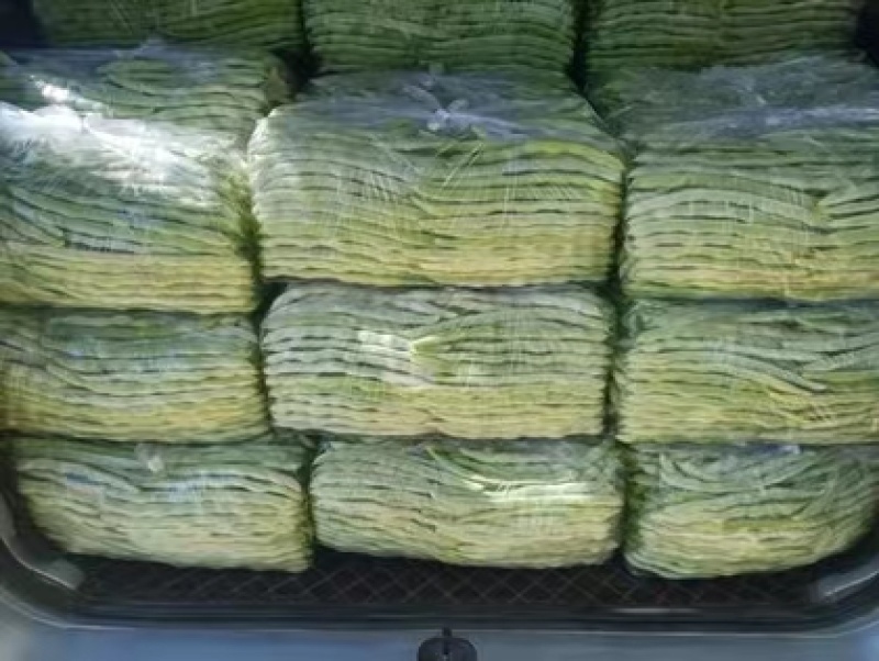 白大架豆角
