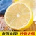 一件代发安岳黄柠檬当季现摘鲜果薄皮柠檬果柠檬新鲜柠檬非无籽