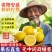 一件代发安岳黄柠檬当季现摘鲜果薄皮柠檬果柠檬新鲜柠檬非无籽