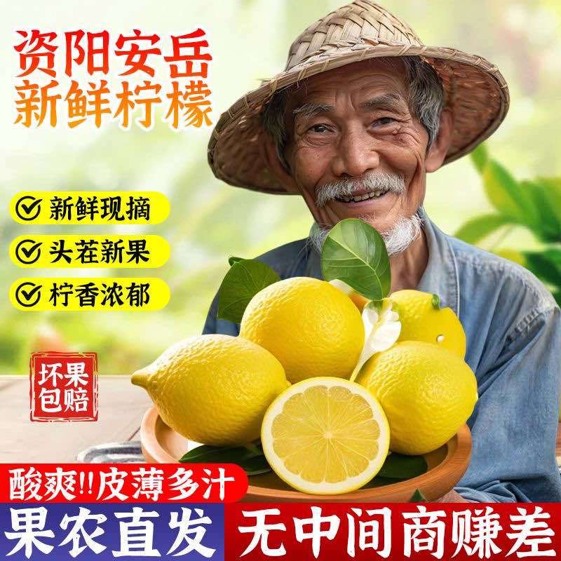 一件代发安岳黄柠檬当季现摘鲜果薄皮柠檬果柠檬新鲜柠檬非无籽