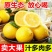 一件代发安岳黄柠檬当季现摘鲜果薄皮柠檬果柠檬新鲜柠檬非无籽
