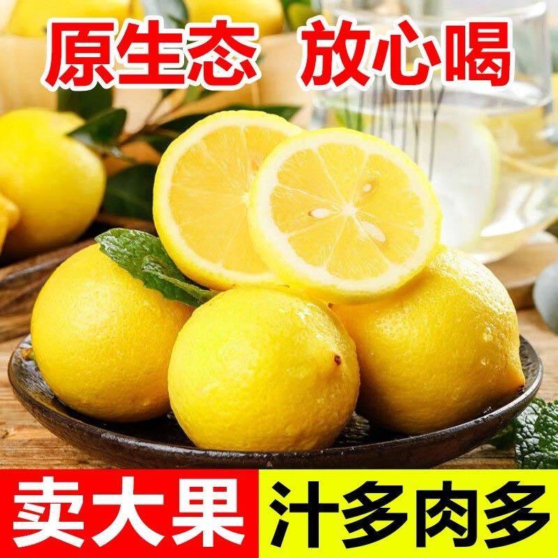 一件代发安岳黄柠檬当季现摘鲜果薄皮柠檬果柠檬新鲜柠檬非无籽