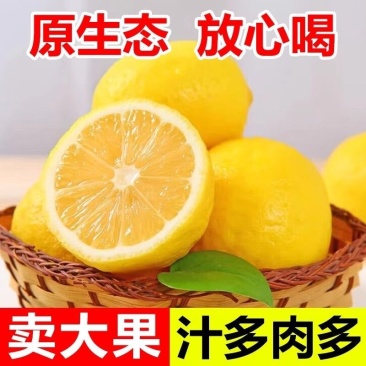 一件代发安岳黄柠檬当季现摘鲜果薄皮柠檬果柠檬新鲜柠檬非无籽