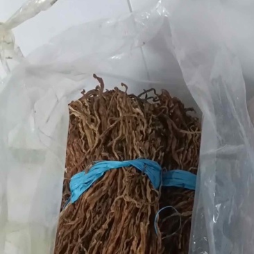 于豆角