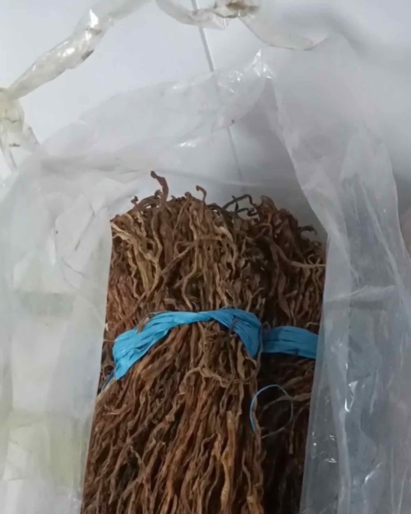 于豆角
