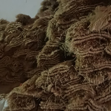 河南纯红薯粉条.粉皮.粉丝.