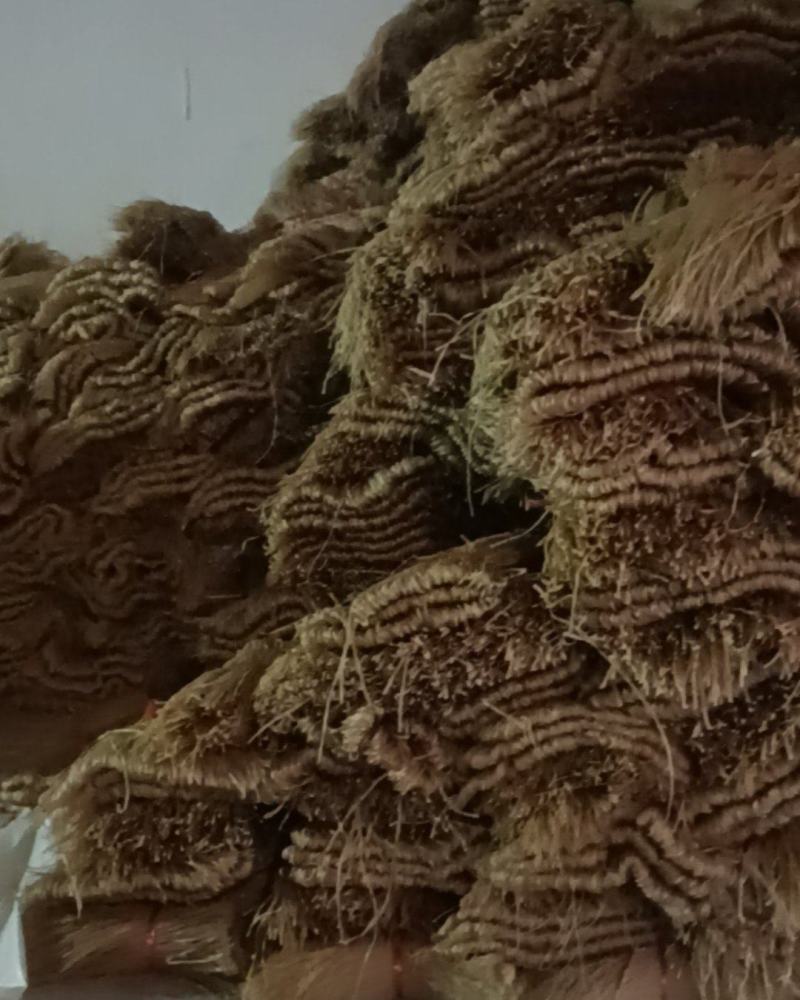 河南纯红薯粉条.粉皮.粉丝.