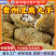 贵州正宗小吃豆腐丸子特产油豆腐丸子豆腐园子火锅配菜现做现发