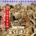 麻鸡苗货到满意付款包防疫运输买1000送100