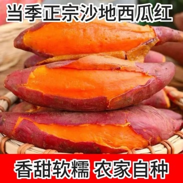 西瓜红香薯新鲜软糯香甜正宗红心农产品食用皮薄原生态低脂肪