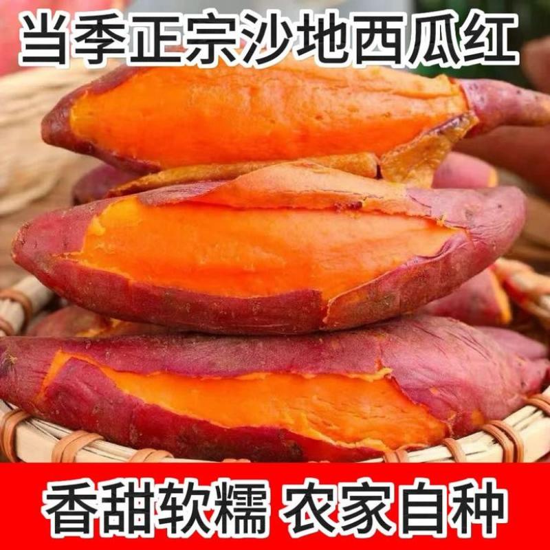 西瓜红香薯新鲜软糯香甜正宗红心农产品食用皮薄原生态低脂肪
