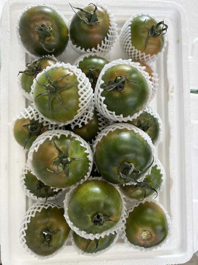 丹东铁皮柿子，草莓柿子，30多个大棚，产量高