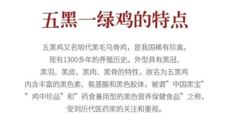 五黑鸡苗货到满意付款包防疫运输买1000送100