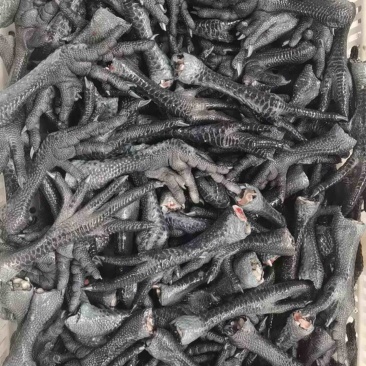 40以上乌鸡爪一吨需要的联系