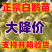 三花鹅苗货到满意付款包防疫运输买1000送100