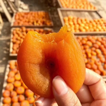 广西桂林恭城柿饼