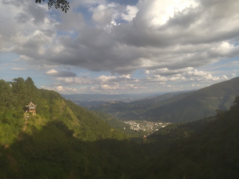 茶叶
