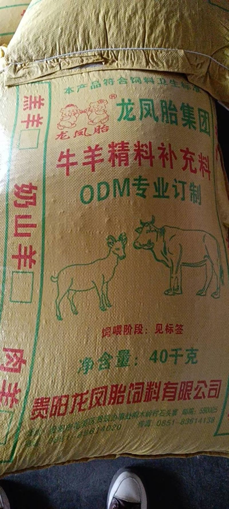 牛饲料