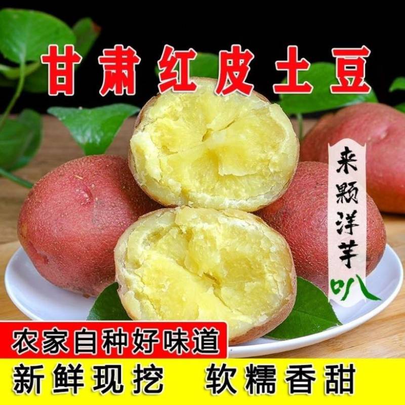 【降价冲量】2024新鲜红皮土豆高原红皮黄心洋一件代发