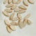 黄芪，中药材，甘肃岷县黄芪，基地直发规格齐全品质保障
