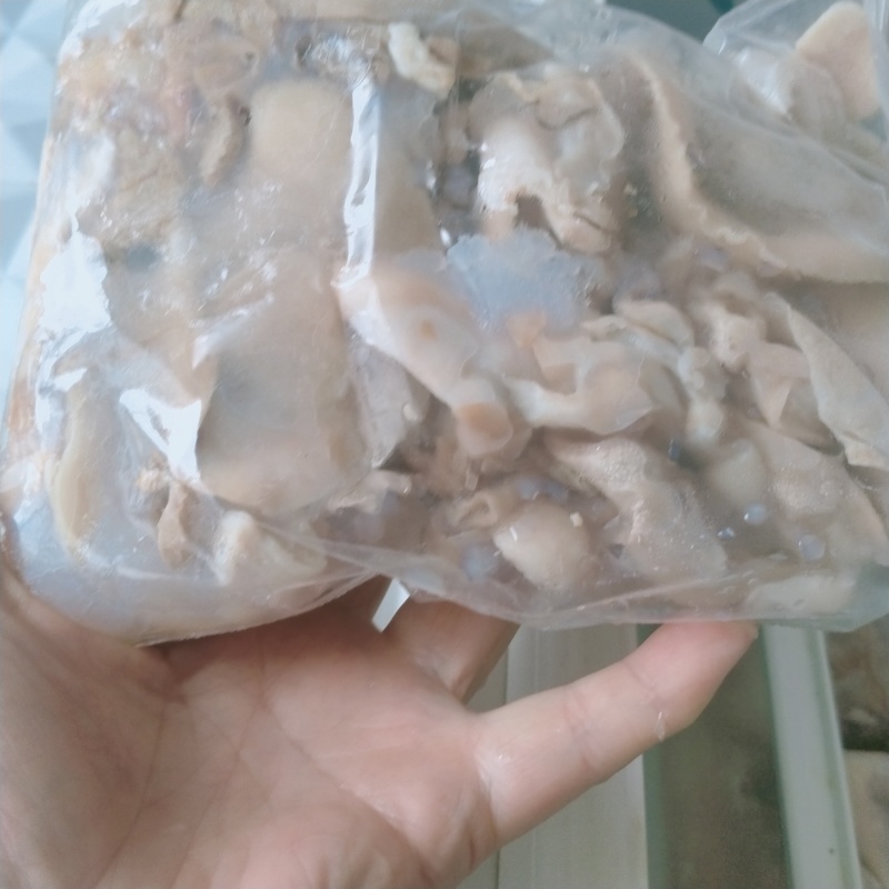 蚌壳肉