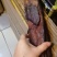 湖南手工烟熏腊五花肉