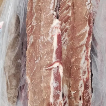 国产多肉龙骨