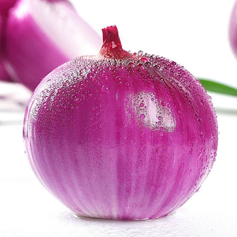 水果洋葱红皮葱头扁葱圆葱批发清仓紫皮洋葱新鲜蔬菜一件代发