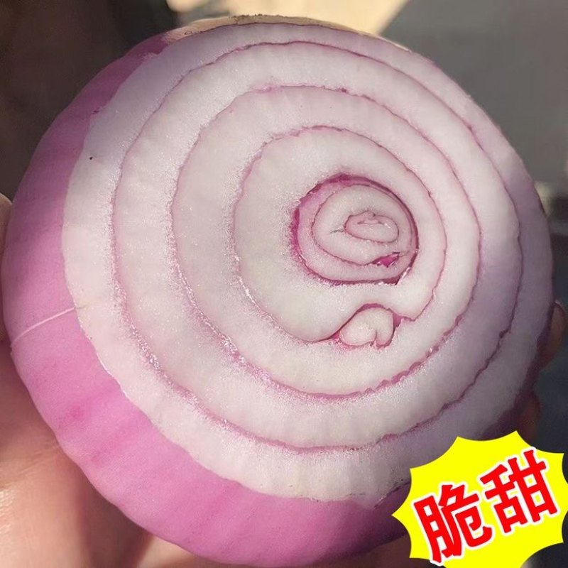 水果洋葱红皮葱头扁葱圆葱批发清仓紫皮洋葱新鲜蔬菜一件代发