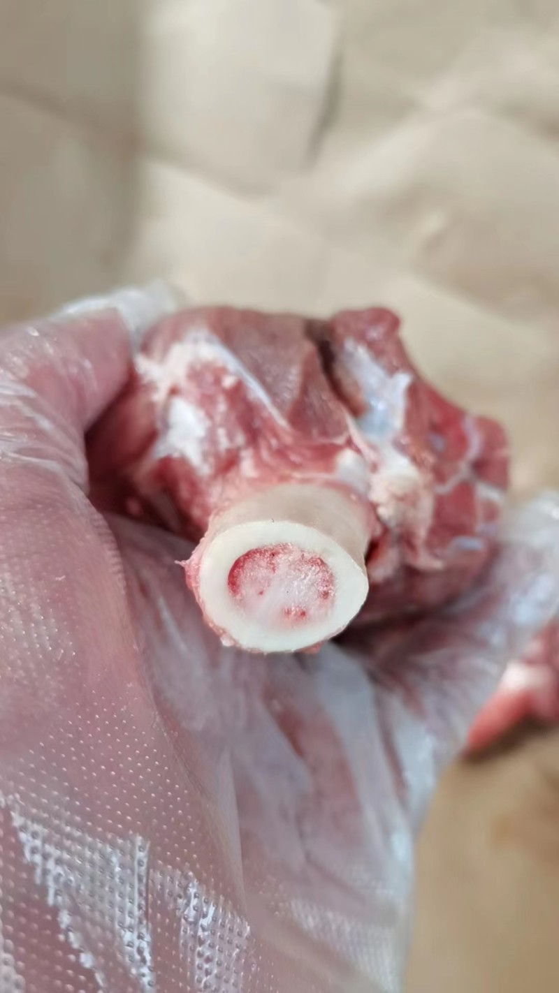 羊棒骨厂家直销量大从优