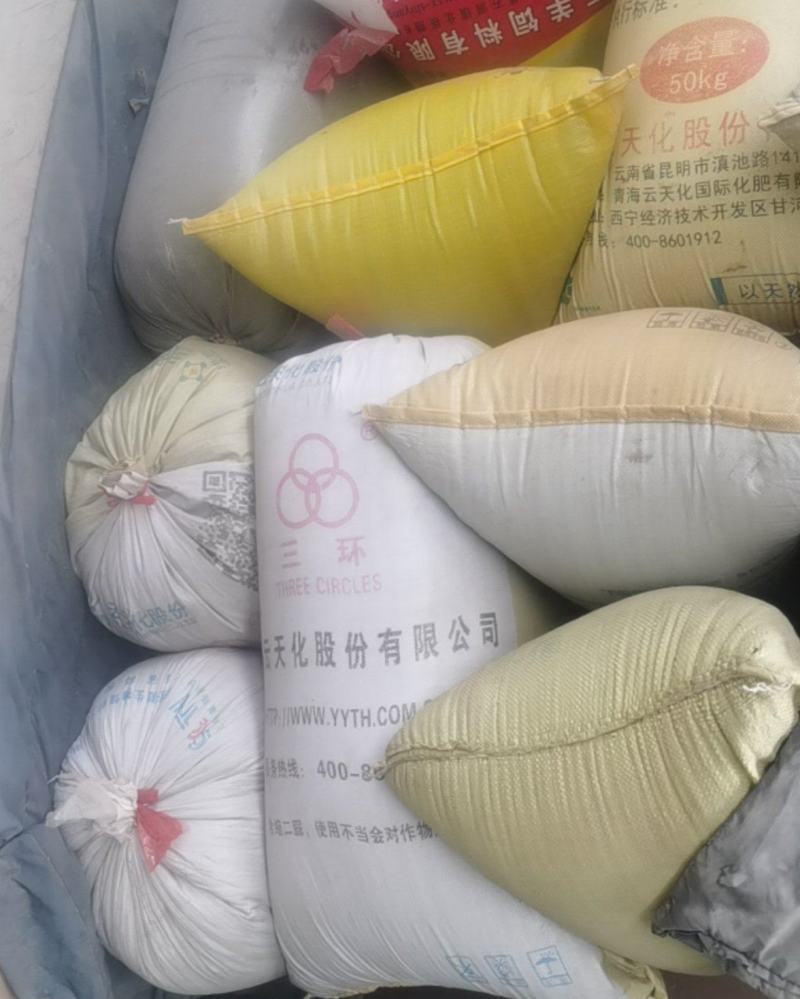 油菜籽
