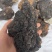 【正宗山货】太岳野生桦树茸天然胰岛素一手货源质量保证