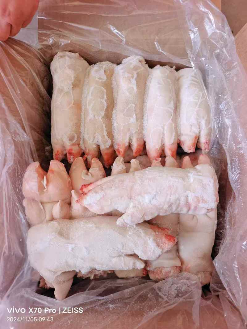 猪蹄