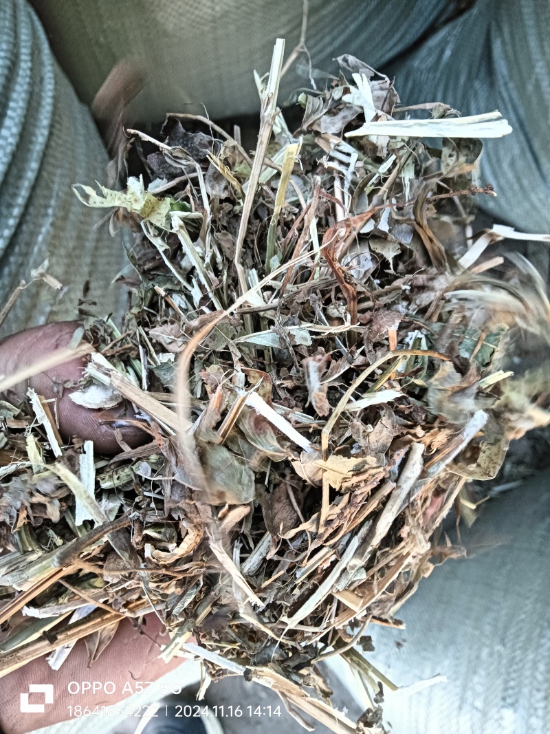 花生秧