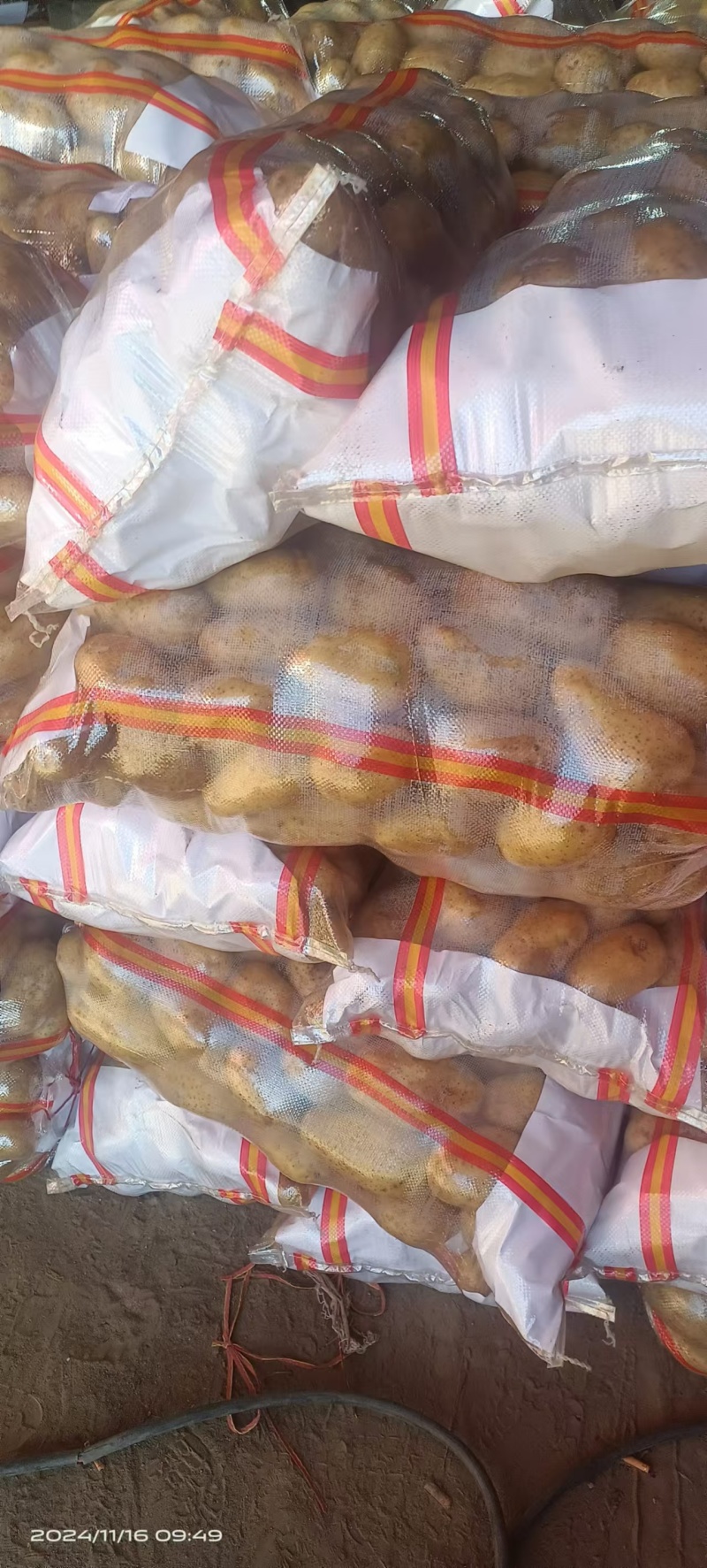 土豆v7规格：3两起步，干洗面码