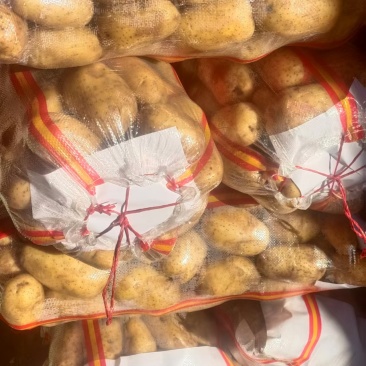 土豆v7规格：3两起步，干洗面码