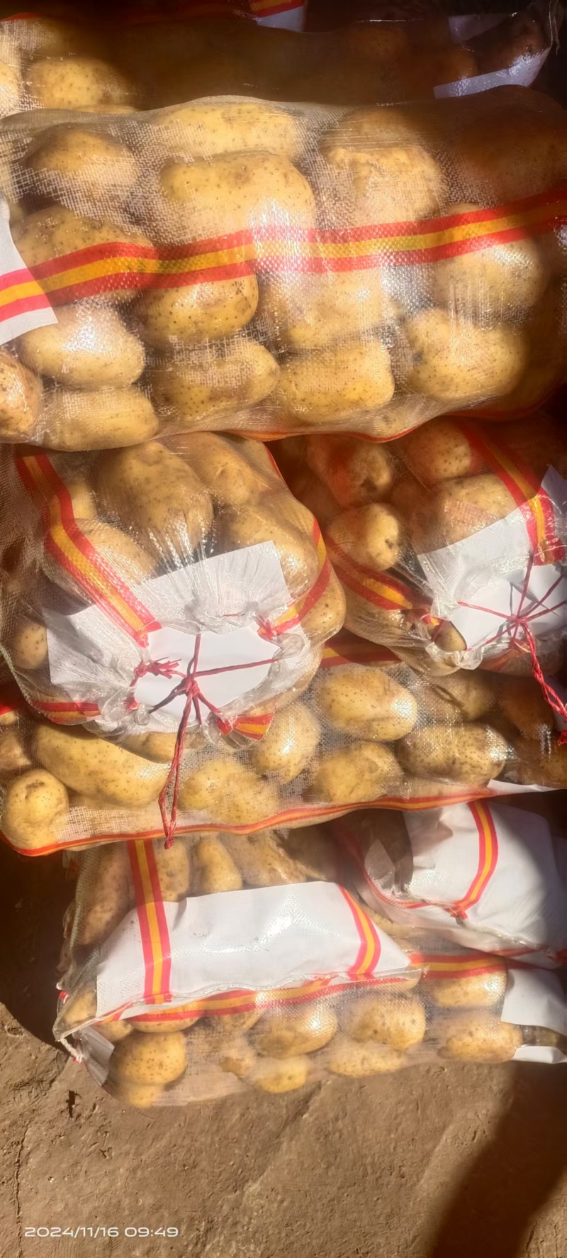 土豆v7规格：3两起步，干洗面码