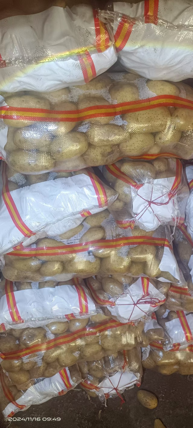 土豆v7规格：3两起步，干洗面码