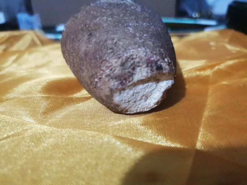 名贵药材狗宝，品相好0几年家狗取出，当时药厂化验给10w