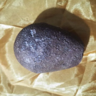 名贵药材狗宝，品相好0几年家狗取出，当时药厂化验给10w